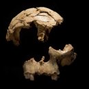 문화유산, 역사가 보인다 이미지