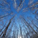 을지회관 이미지