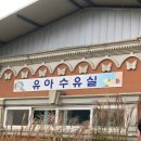 함평읍경로식당 | 2019 함평 국향대전 국화축제 (국화축제 정보, 주차장) 가을나들이 함께해요!!