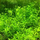 뉴힐링타임 이미지