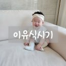 이유식시기 : 이유식 양, 이유식 횟수, 분리수유, 간식