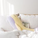 재봉틀(초급) 이미지