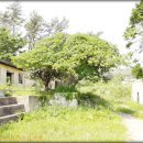 의성초등학교 이미지