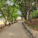 청주 상당산성 이미지