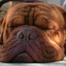 신창생한의원 이미지