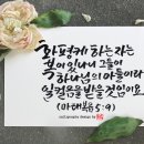 화평케 하는 자는 이미지