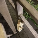 타이거피자 미아점 | [나트랑] 미아 리조트 후기 - 조식 &amp; La Baia 레스토랑 &amp; 룸서비스