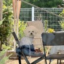 Sweet one(스위트 원) 이미지