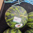 삼촌네식자재마트(주) | [광주 식자재마트] 전남대 후문 "전대식자재마트" 방문 후기｜자취생 장보기 코스 추천