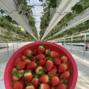 영원농장 이미지