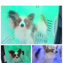 주식회사 하이 이미지