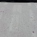 쌍용자동차전문점 이미지