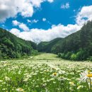 정선 황토 약초 게스트하우스 | ✈️ 6월에 가기 좋은 오지 여행지 5곳 완벽 가이드 (숙박·맛집·교통편 포함)