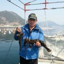 자연횟집 이미지