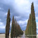 언덕위에 작은 민박 이미지