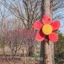 청산농장2 이미지