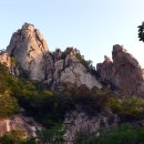 석이농장 이미지