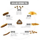 대변약국 이미지