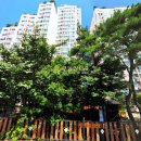 세월천로25번길 Daum카페