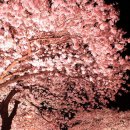 안경창고 싸군 이미지