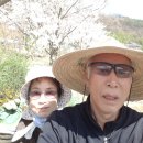 죽림산방