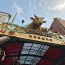 대보 | [마장동 축산물시장] 설 연휴 투쁠 한우 구매 후기! 대보한우 추천 이유 &amp; 주차꿀팁