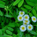 몽촌토성역 5번출구 이미지