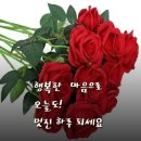 멋진 하루 이미지