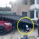 대치리마을회관 이미지