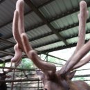 최성기농장 이미지