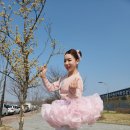2026년4월3일(금요일) 출석부입니다^^주말 경주보문,에코풀빌라펜션 나사모 벙개모임 합니다 이미지