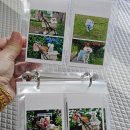 뽑아가으리 이미지