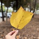 다복공원 네이버블로그