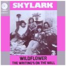Skylark - Wildflower (야생화) 이미지