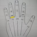 고려수지(高麗手指) 반지요법(斑指療法) 이미지