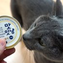 (주)인섹트바이오텍 이미지