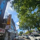 구미가명태 이미지