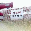 상주농장 2 이미지