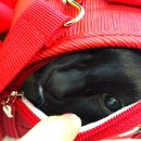 (주)온누***