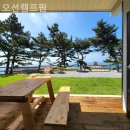 팜오션 | 태안펜션 오션캠프팜 재방문 후기는?