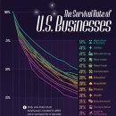 미국 기업의 생존율(2013-2023) 이미지