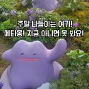 정원가든 | 서울국제정원박람회 후기🌿 메타몽가든·스탬프투어·서울무료축제 총정리!