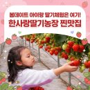 경기도공무직노동조합 | 지금 안 가면 후회할 봄 나들이 1순위! 한사랑딸기농장 아이와 함께한 주말 데이트 재방문후기
