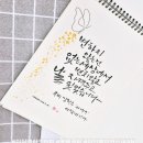 마음을 담은 붓펜 캘리그라피 네이버블로그