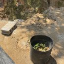 서윤농장 이미지