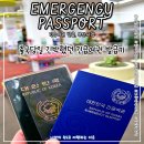 부산광역시 강서구청 | 출국 당일 부산 시청 긴급 여권 발급 세부 보홀 동남아 여행 6개월 필수 체크