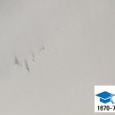 금성약품(주) 이미지