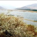 산이농원 이미지