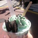 강아지 그리다 이미지