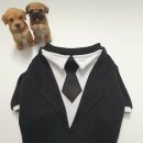 베이비멍 이미지